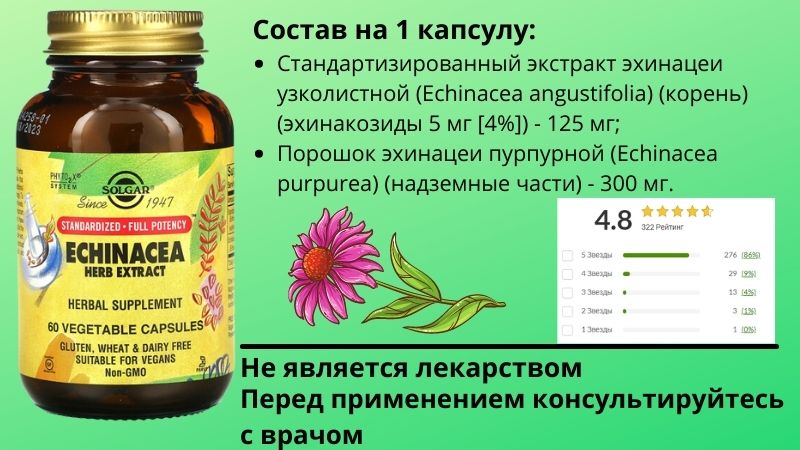 состав эхинацеи