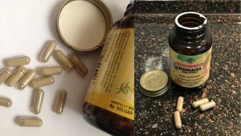капсулы эхинацеи солгар