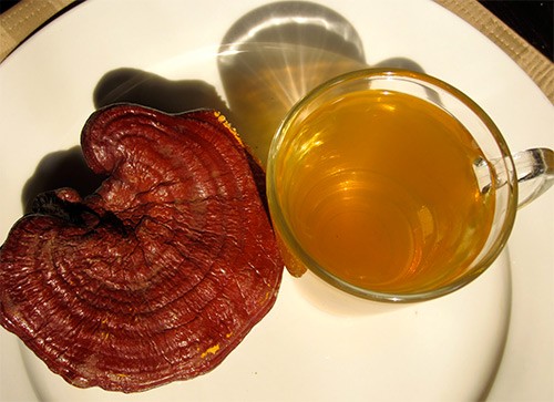 рейши чай