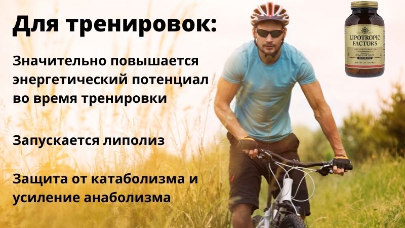Липотропные факторы для спорта