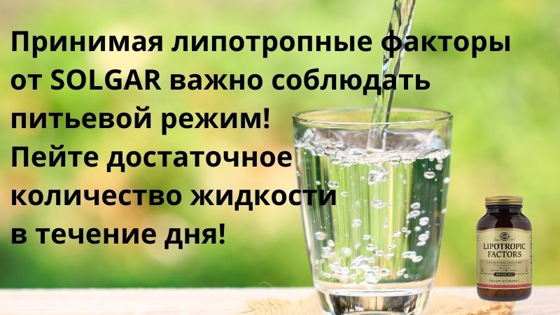 липотропные факторы и питьевой режим