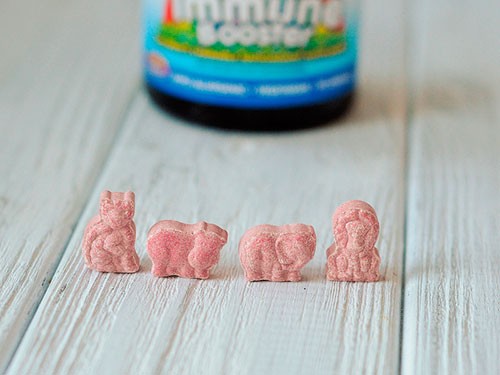 Animal parade