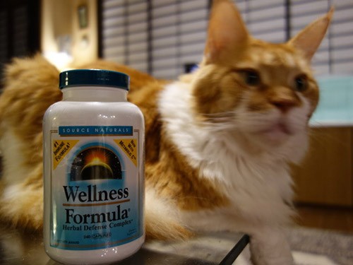 wellness formula