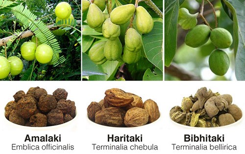 amalaki-bibhitaki-haritaki