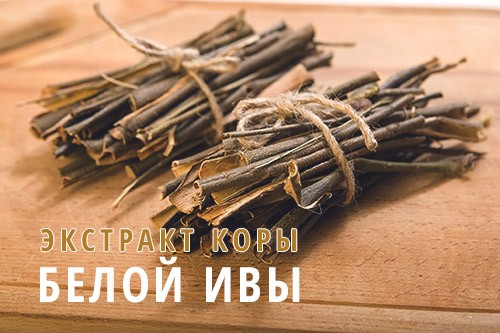 экстракт коры белой ивы