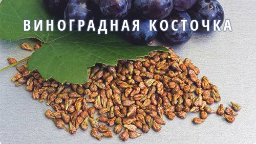 виноградная косточка