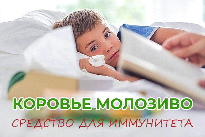 коровье молозиво