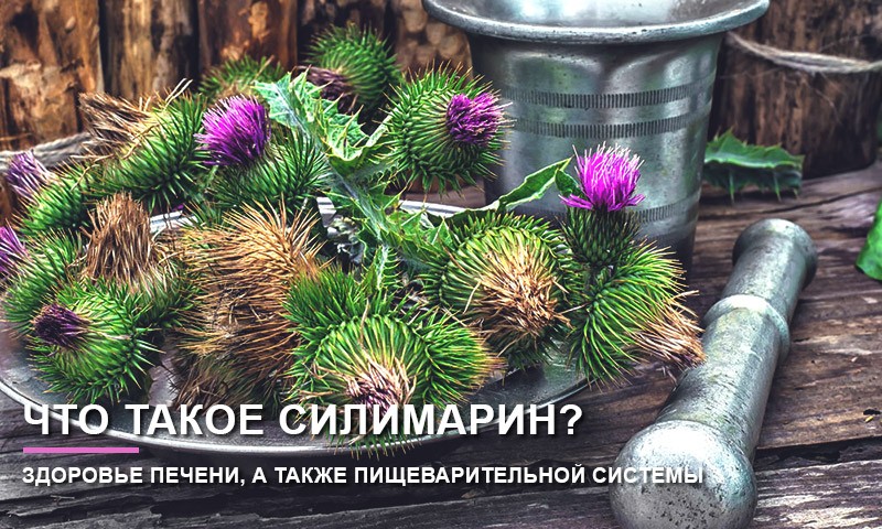 силимарин