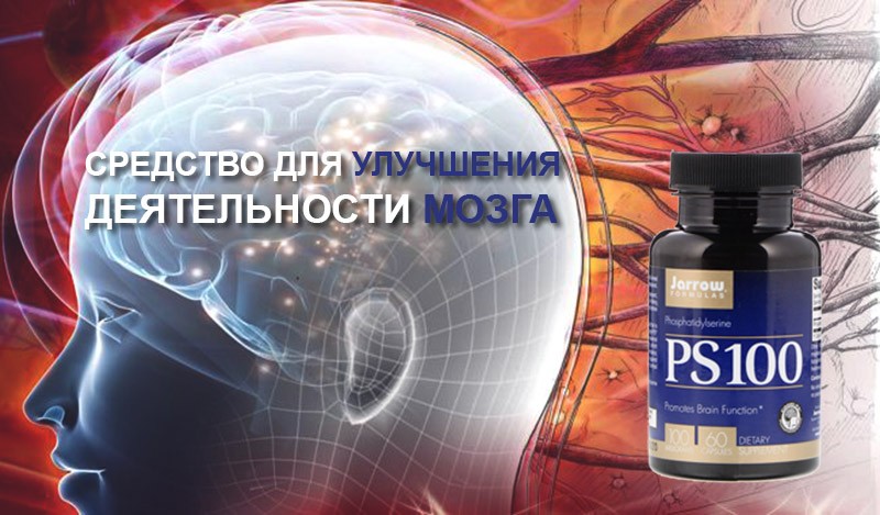 улучшение мозговой активности