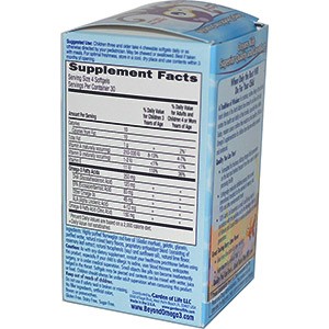 Garden of Life, Oceans Kids, DHA Chewables