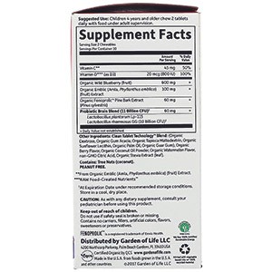 Garden of Life, Dr. Formulated для мозга