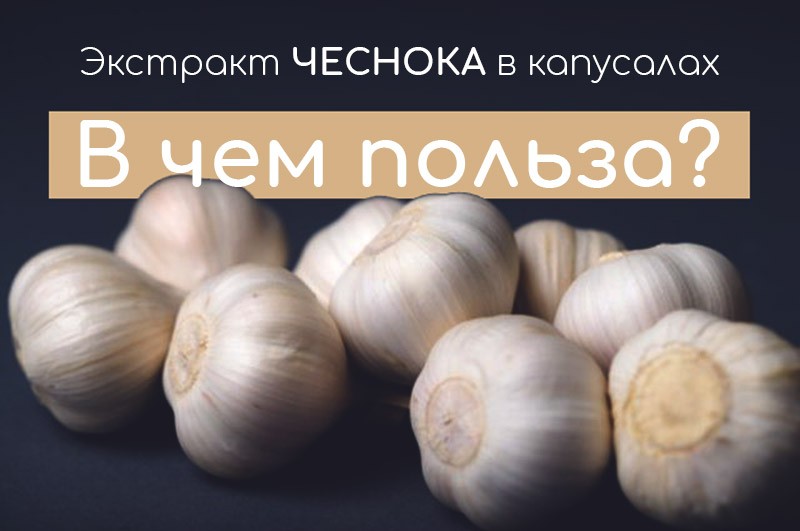 в чем польза чеснока