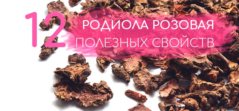 родиола розовая