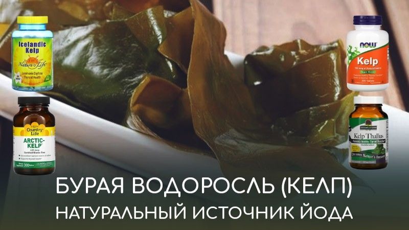 келп бурая водоросль в добавках