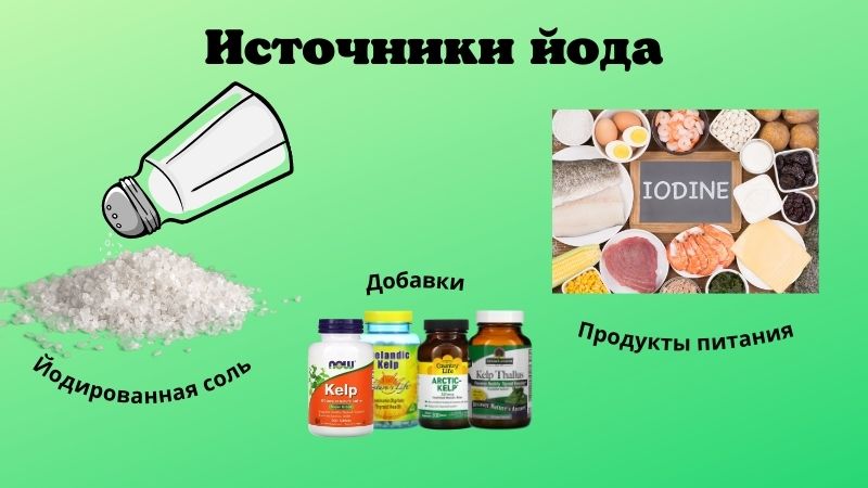 полезные свойства келпа