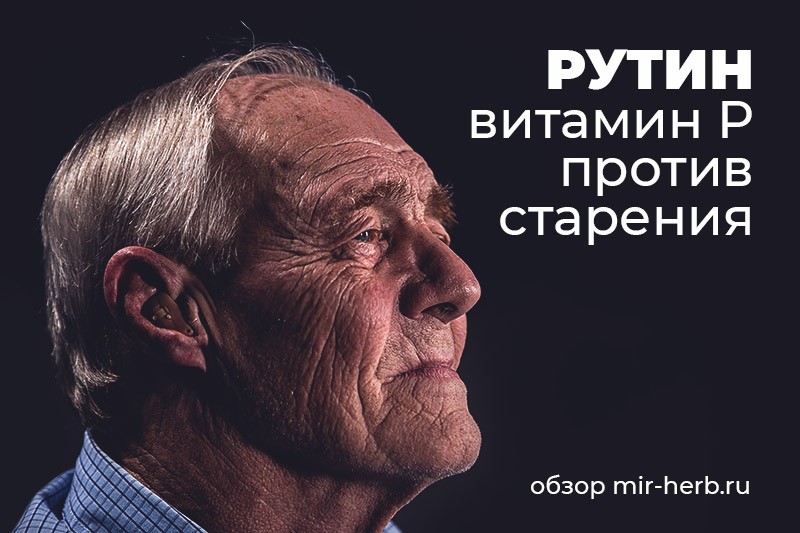 рутин