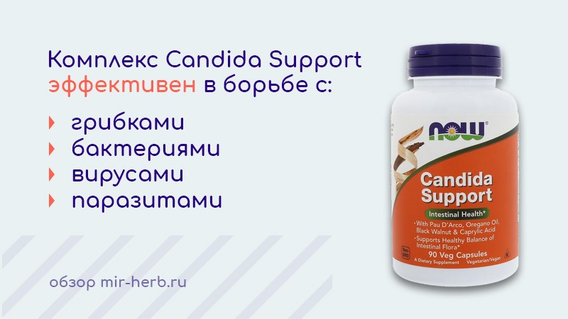 Candida Support