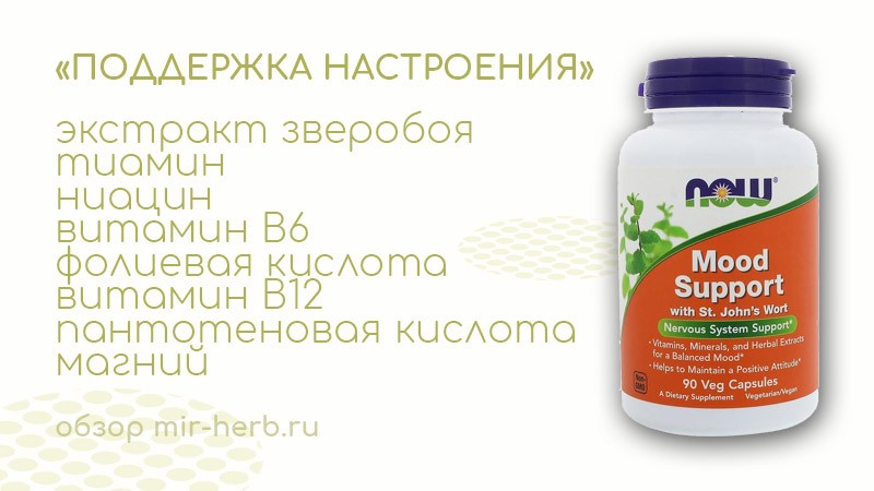 поддержка настроения