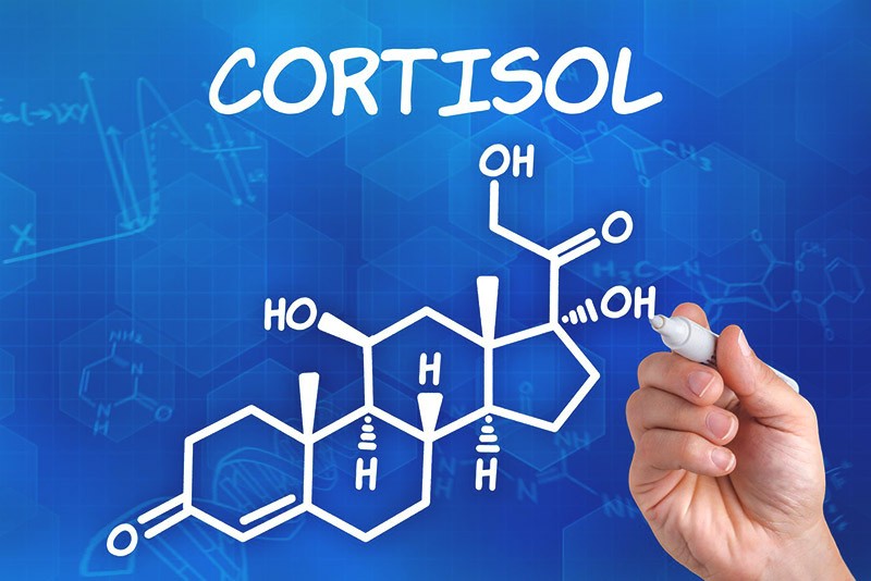 химическая формула cortisol