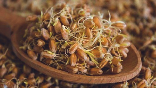 пророщенная пшеница