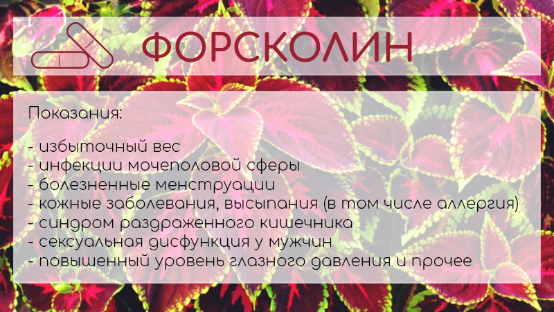 форсколин