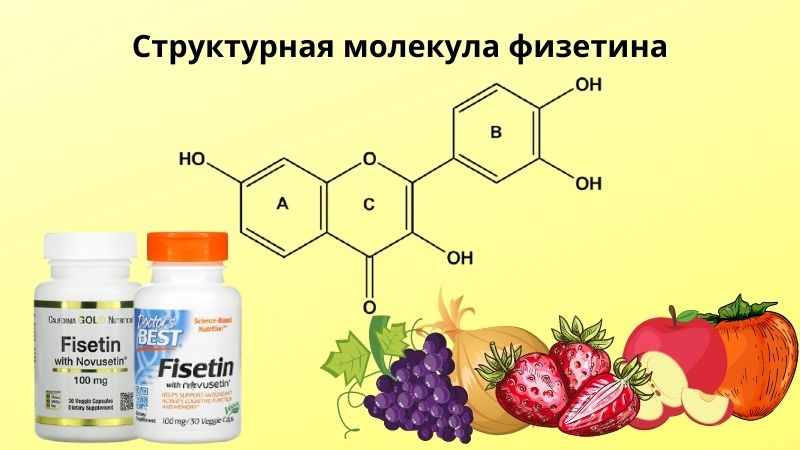 структурная молекула физетина
