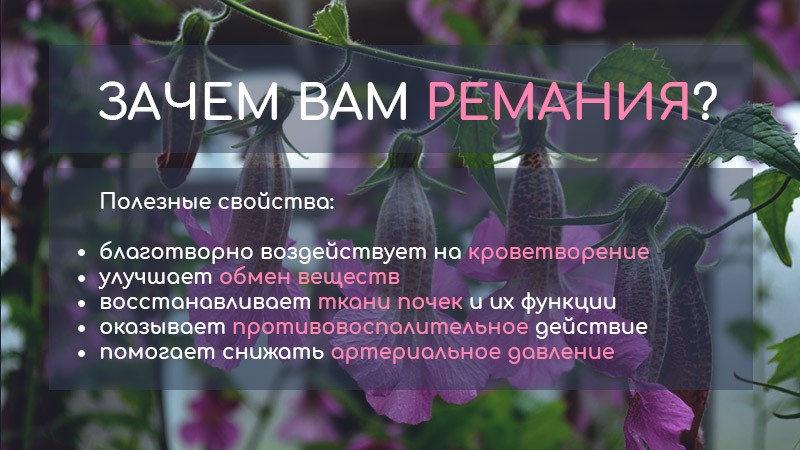 ремания