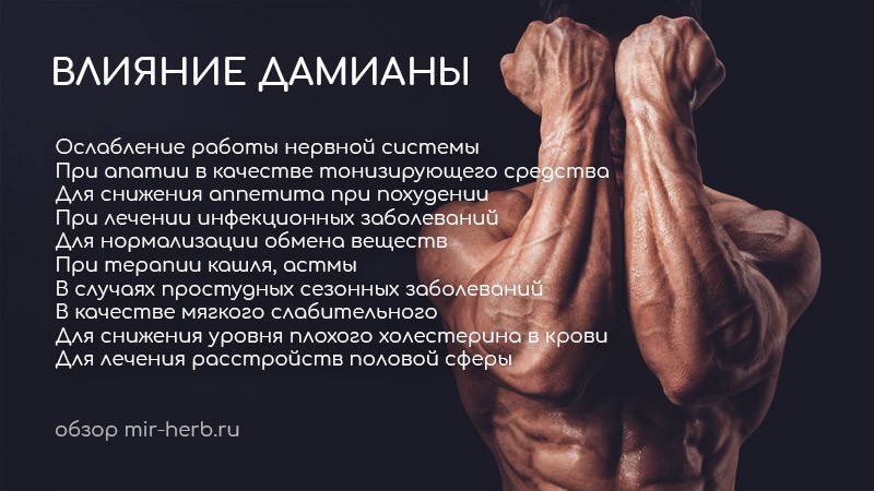 Дамиана
