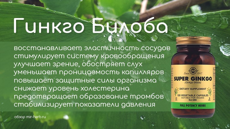 Гинкго Билоба солгар
