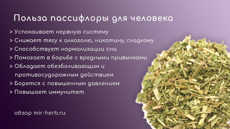 пассифлора