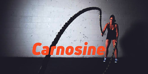 l-carnosine отзывы