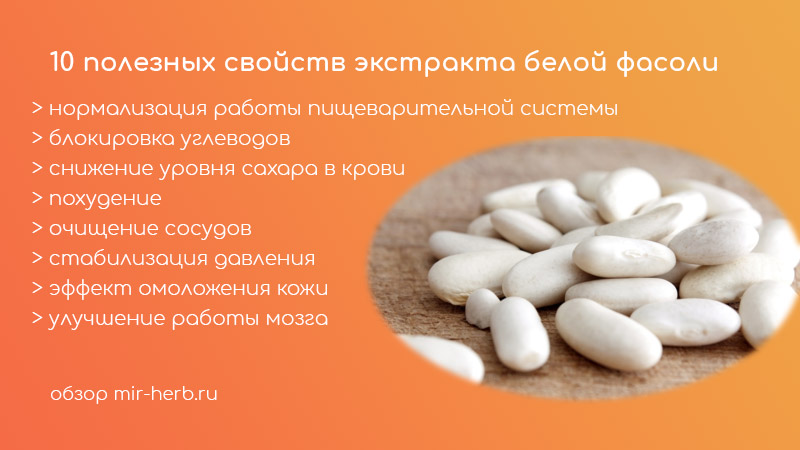 10 полезных свойств белой фасоли