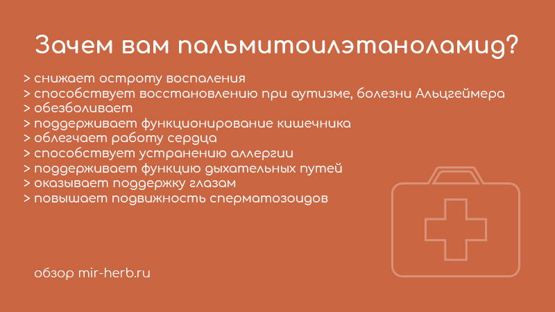 пальмитоилэтаноламид