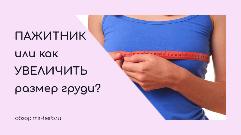 Пажитник для увеличения груди