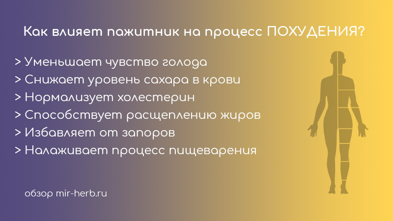 пажитник