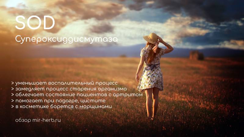 Супероксиддисмутаза
