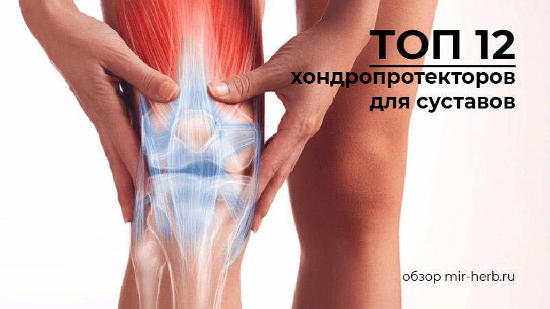 топ 12 хондропротекторов для суставов