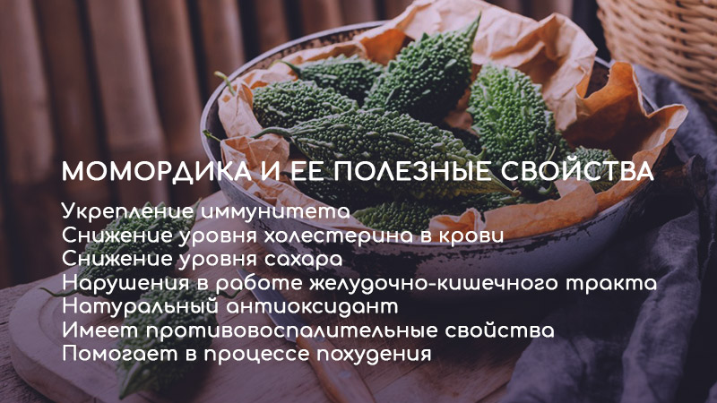 момордика
