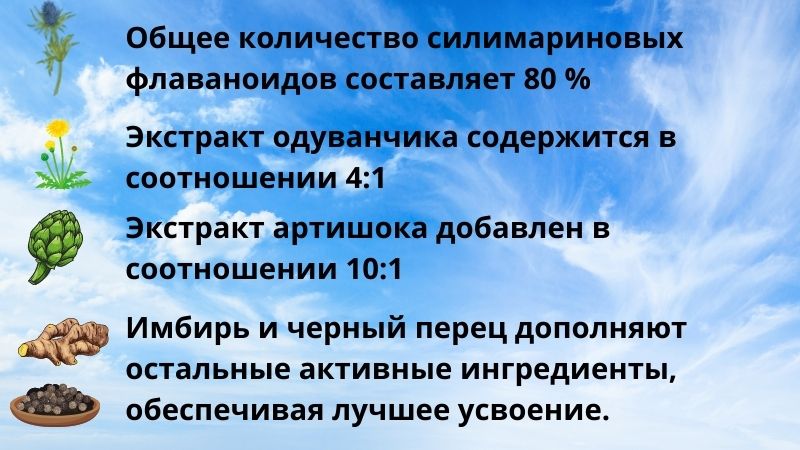 дополнительные ингредиенты силимарина