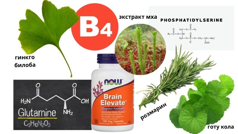 состав Brain Elevate