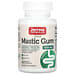 Jarrow Formulas, мастиковая смола, 60 растительных капсул